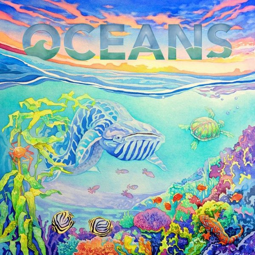 新演化論：海洋 OCEANS 繁體中文版 開箱及規則介紹 b